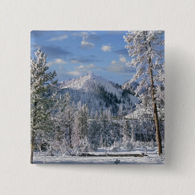 Winter im Yellowstone Nationalpark, Wyoming Button (Vorderseite)