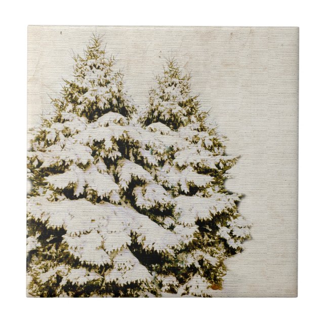 Winter Immergrüne Vintage Fliese (Vorderseite)
