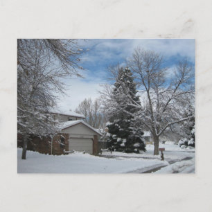 Winter in Colorado Postkarte
