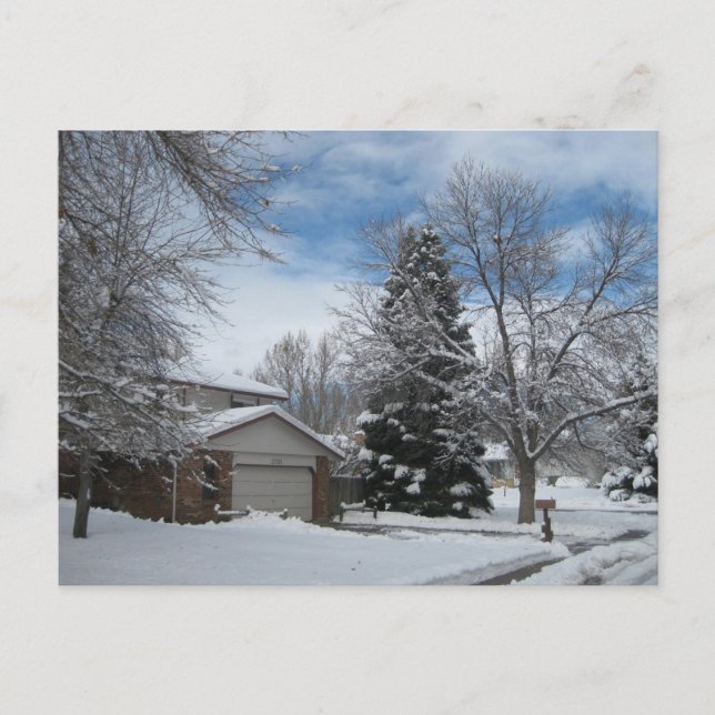 Winter in Colorado Postkarte (Vorderseite)