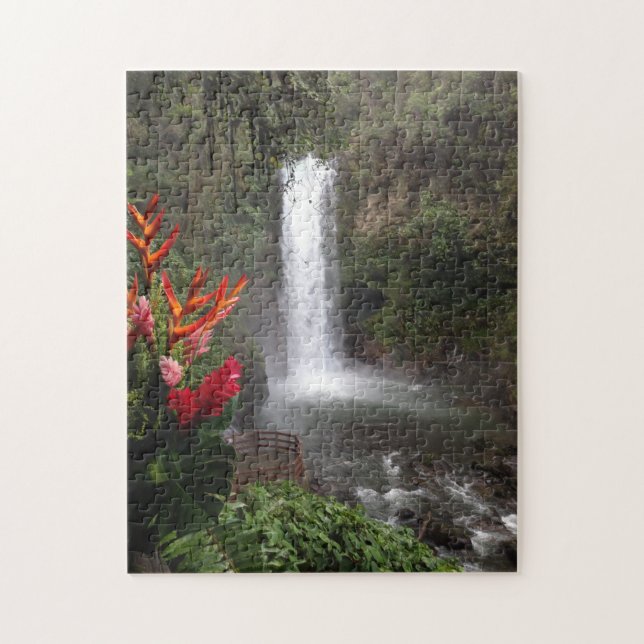 Winter in Costa Rica (Vertikal)