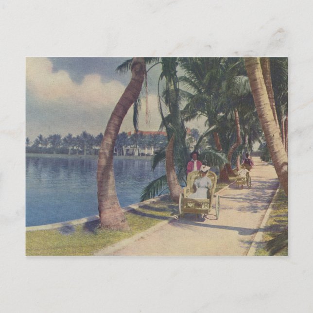 Winter in Florida, 1908 Postkarte (Vorderseite)