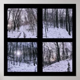 Winter in Four Scenes Poster