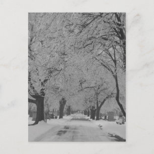 Winter in Nebraska Postkarte