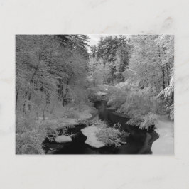 Winter in New England Postkarte