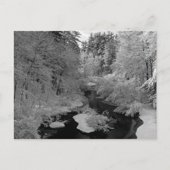 Winter in New England Postkarte (Vorderseite)