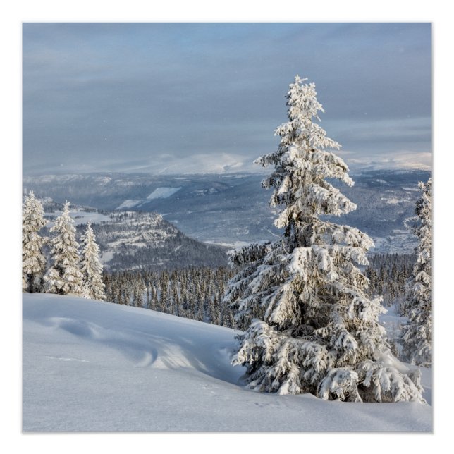 Winter in Norwegen Poster (Vorderseite)