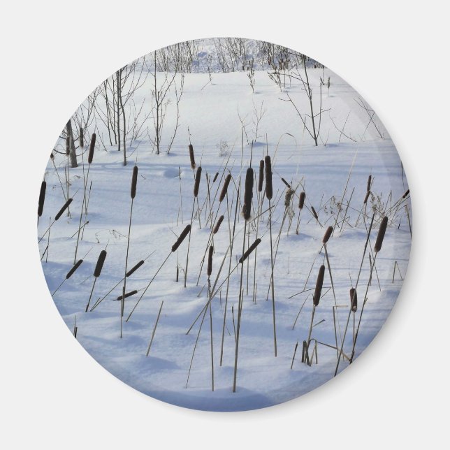 Winter in Quebec, Kanada Magnet (Vorne)