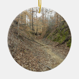 Winter in versunkenem Spur Natchez Spurn-Allee Keramik Ornament
