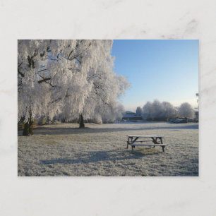 Winter in Warwick Postkarte