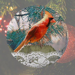 Winter Kardinal Festiv Button