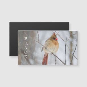 Winter-Kardinal-Foto-Magnetkarte Frieden Magnetkarte