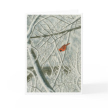 Winter Kardinal Watercolor_3
