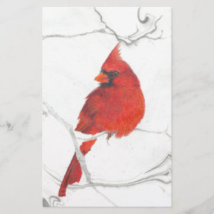 Winter-Kardinals-Zeichnen Briefpapier