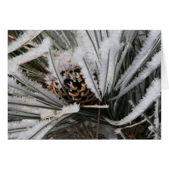 Winter-Kiefern-Kegel Karte
