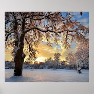 Winter-ländliche Landschaft am Sonnenuntergang Poster