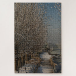Winter landscape