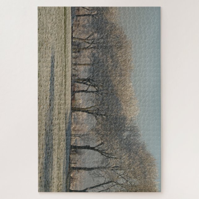 Winter landscape  (Vertikal)