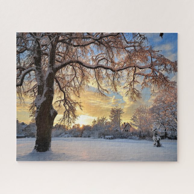 Winter Landschaft im Grünen bei Sonnenuntergang (Horizontal)