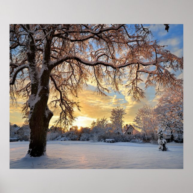 Winter Landschaft im Grünen bei Sonnenuntergang Poster (Vorne)