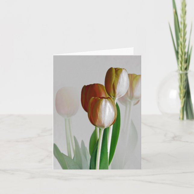 Winter-Licht Karte (Vorderseite)