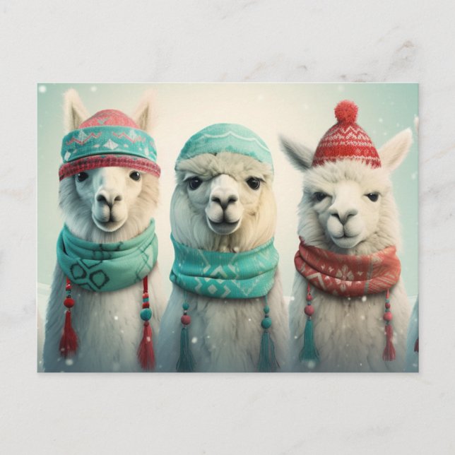 Winter Llamas Feiertagspostkarte (Vorderseite)