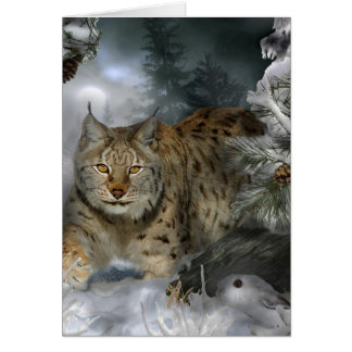 Winter-Luchs