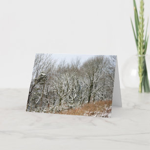 Winter Macclesfield Forest Karte