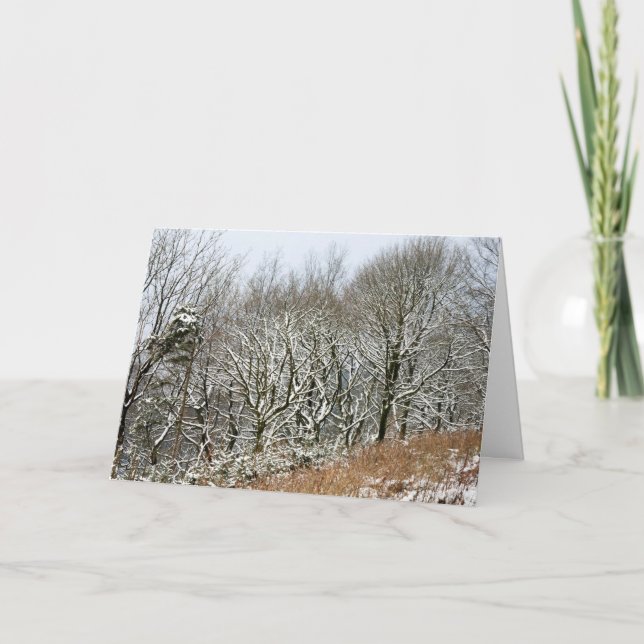 Winter Macclesfield Forest Karte (Vorderseite)