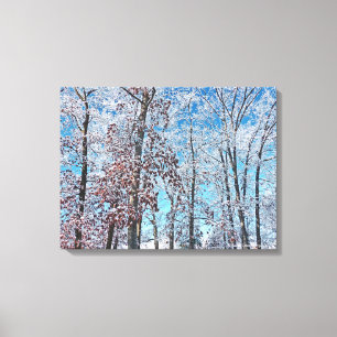 WINTER MAGIC/BÄUME NACH SCHNEEFALL LEINWANDDRUCK
