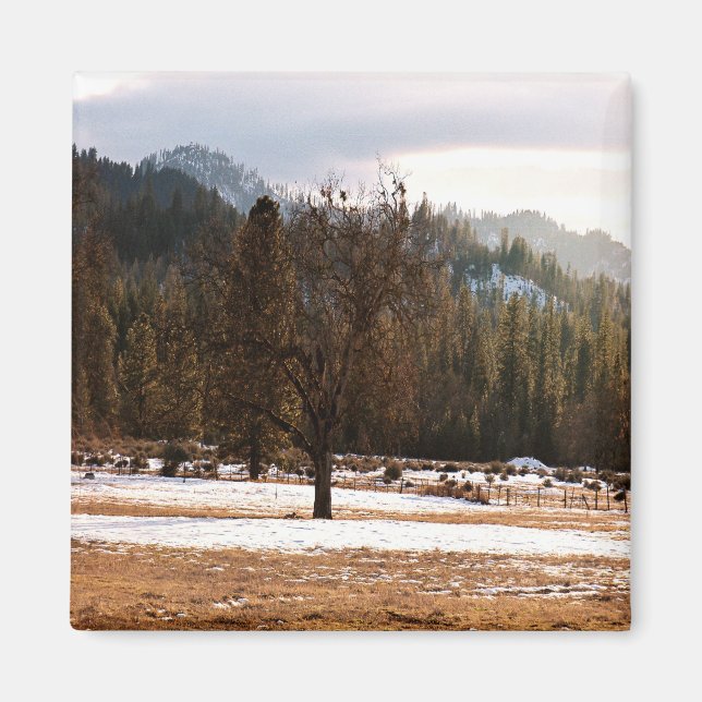 Winter...... Magnet (Vorne)