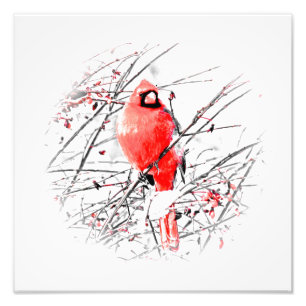 WINTER-MANNESKardinal Fotodruck