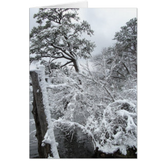 Winter-Märchenland II