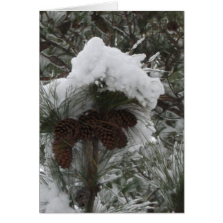 Winter-Märchenland III