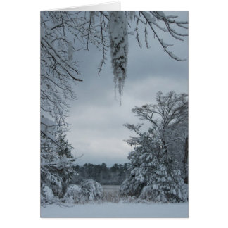 Winter-Märchenland IV