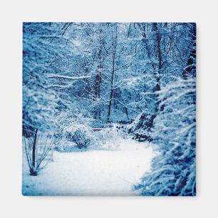 Winter-Märchenland Magnet