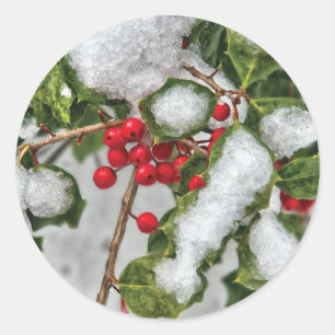 Winter - Mit Eis überzogene Stechpalme Runder Aufkleber
