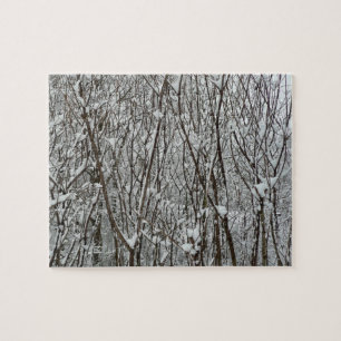 Winter mit schneebedeckten Branchen