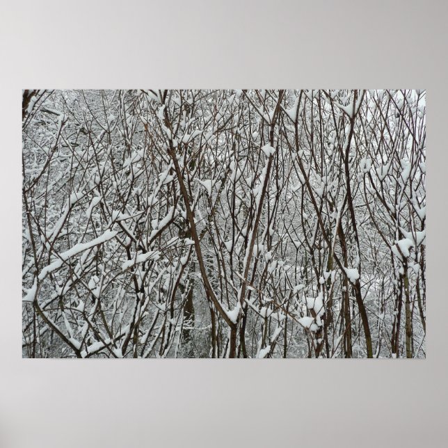 Winter mit schneebedeckten Branchen Poster (Vorne)