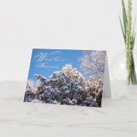 Winter Moments Trees Schnee bedeckt