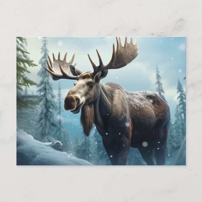 Winter Moose Feiertagspostkarte (Vorderseite)