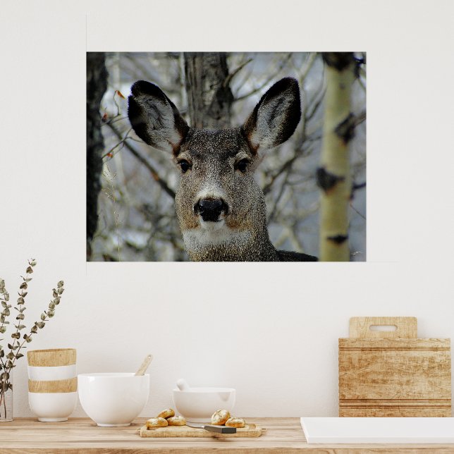 Winter Mule Deer Nah-up Poster (Küche)