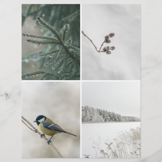 Winter Nature: Christmas Scrapbook Cutout paper (Vorderseite)