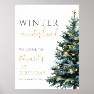 Winter Onederland 1er anniversaire Affiche de bien