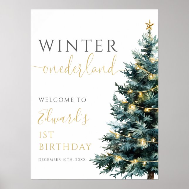 Winter Onederland 1er anniversaire Affiche de bien (Devant)