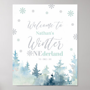 Winter onederland Garçon 1er Anniversaire Affiche 