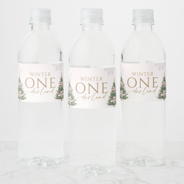 Winter Onederland Pink Silver Birthday Party  (Flaschen)