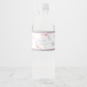 Winter ONEderland Rosa und Silver Geburtstagsparty