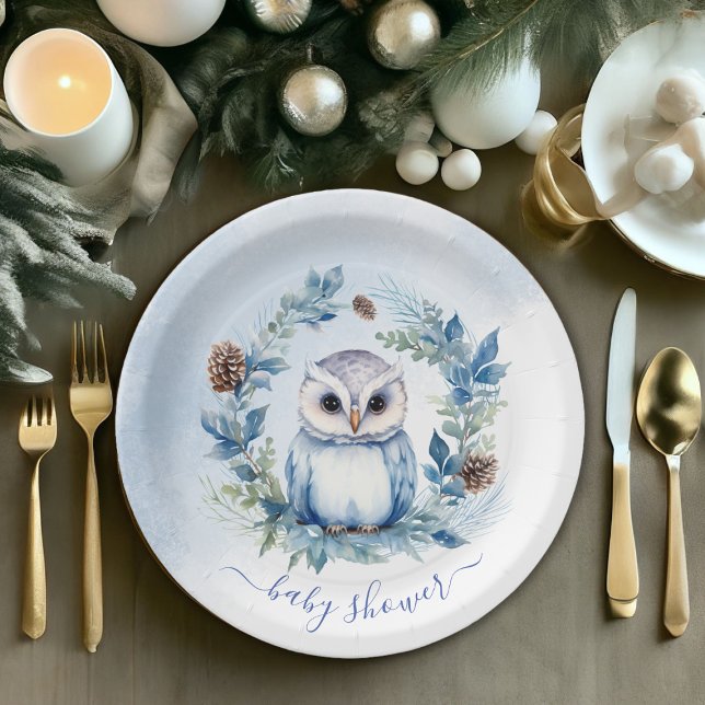 Winter Owl Watercolor Kinderdusche Pappteller (Winter Owl Watercolor Baby Shower Paper Plates)