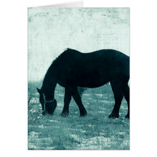 Winter Percheron